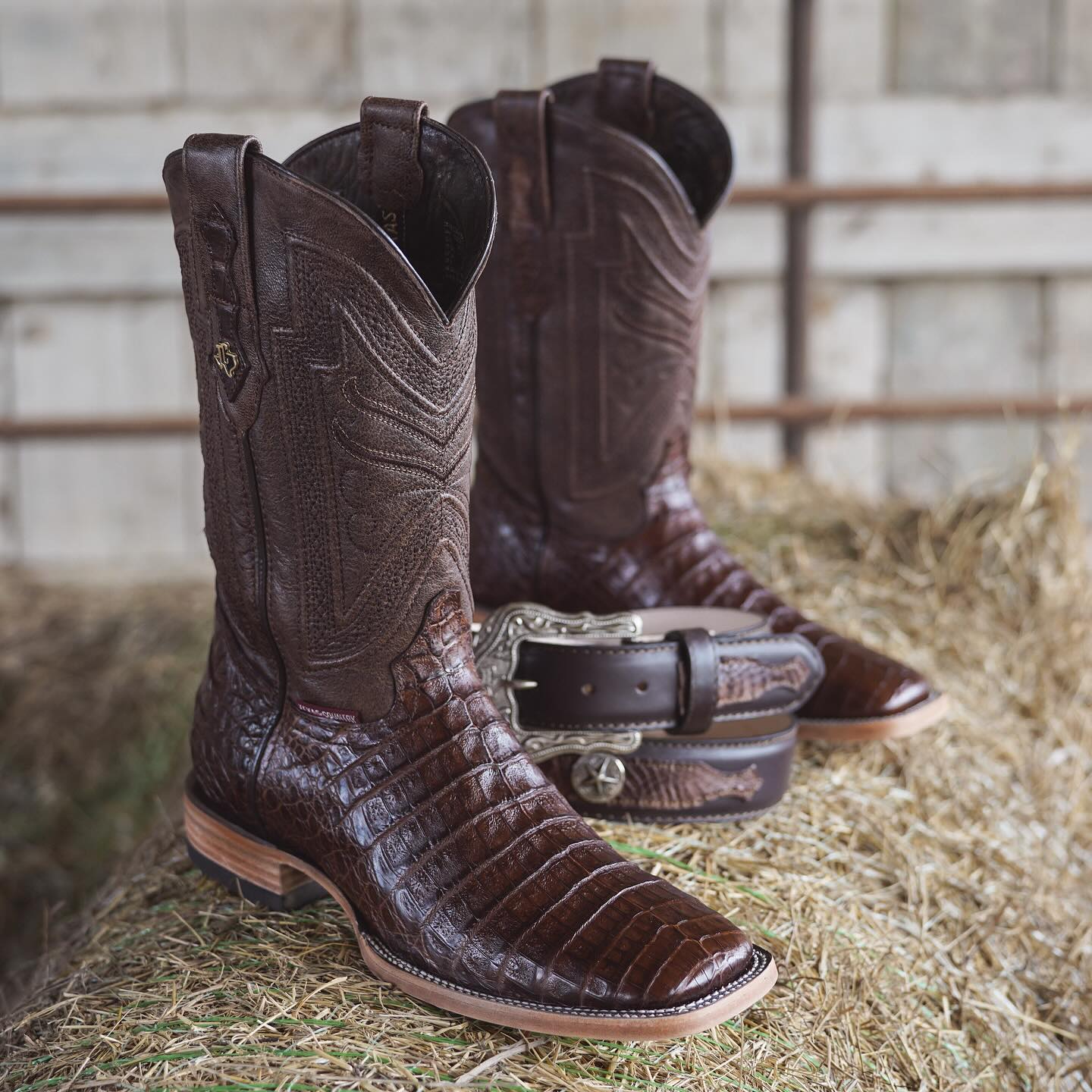 Crocodile Embossed Leather Square Toe Cowboy Boots