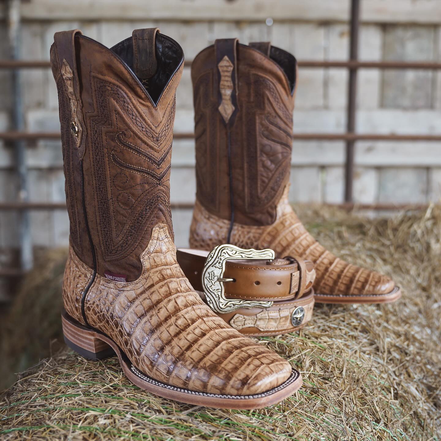 Crocodile Embossed Leather Square Toe Cowboy Boots