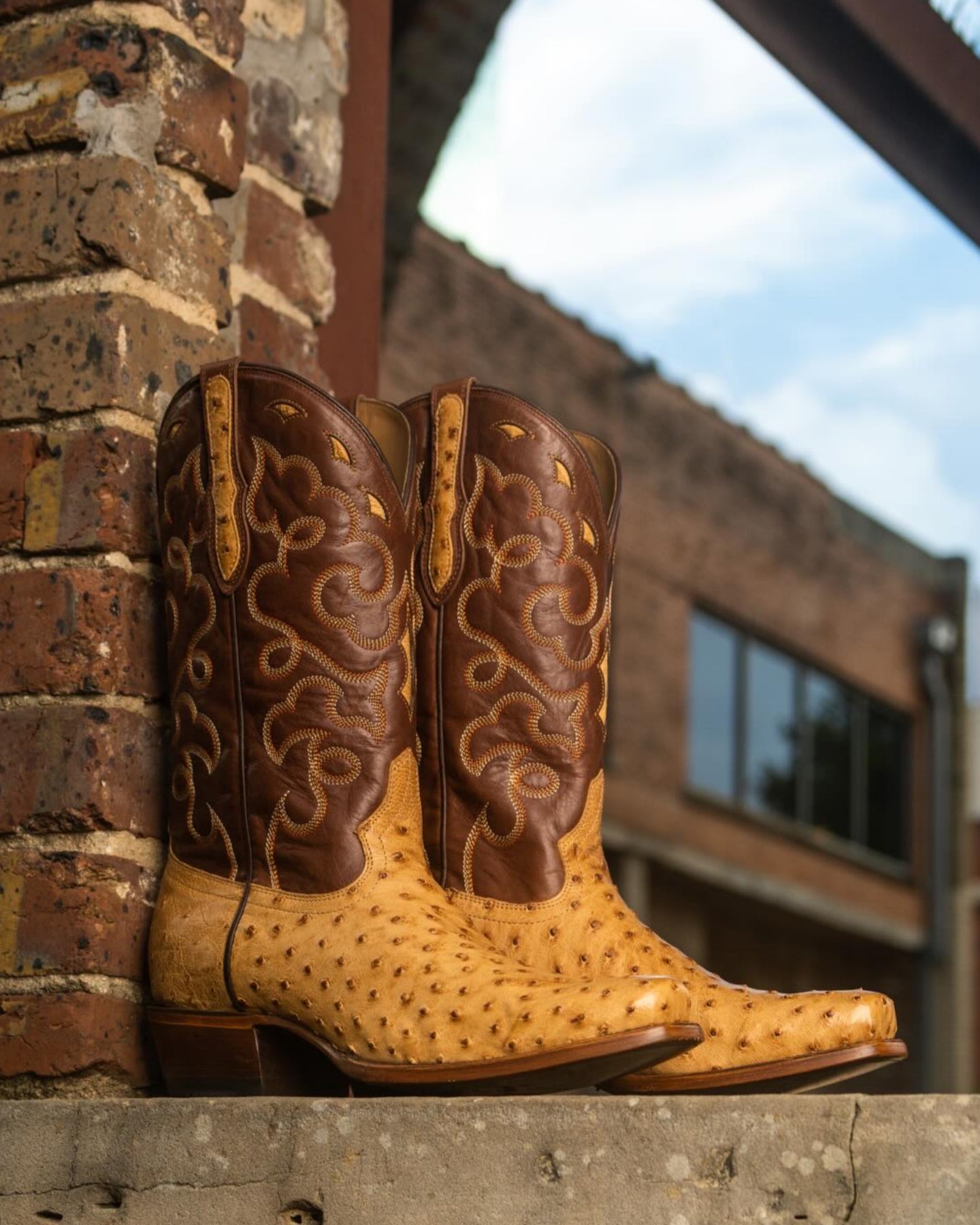Ostrich Cowboy Boots